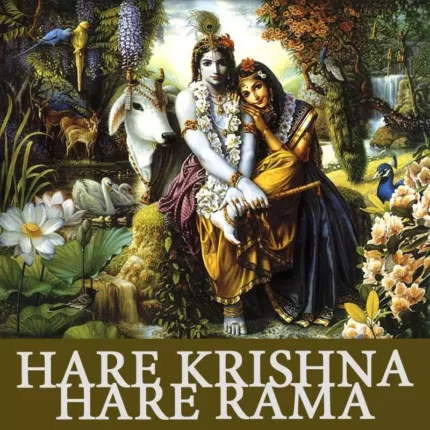 Харе Кришна Харе Рама Мантра, Hare Krishna Hare Rama