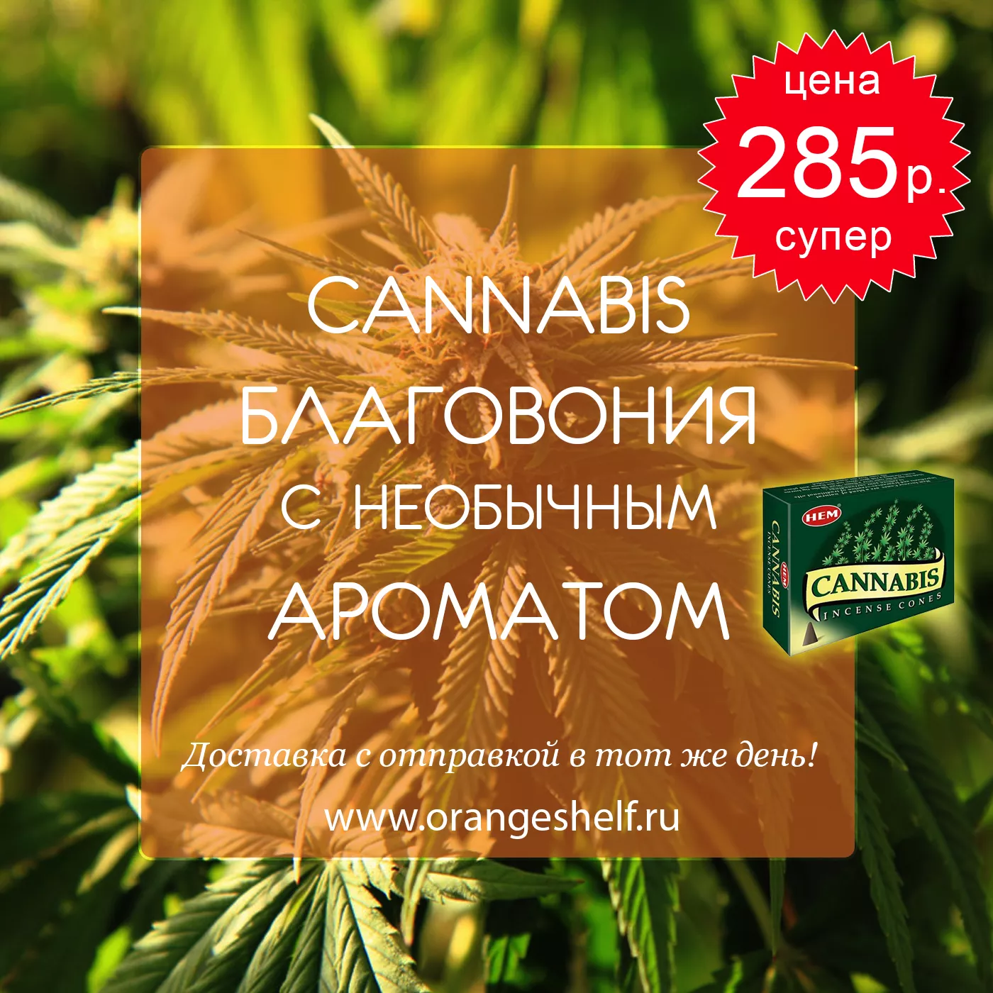 Благовония с необычным ароматом Cannabis. Цена 285 руб. #orangeshelfru