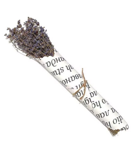 Anastatica: lavanda skrutka iz trav