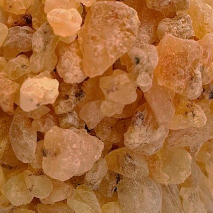 Копал золотой copal gold Натуральная смола bursera copallifera Филиппины