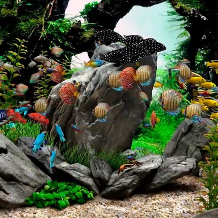 Виртуальный аквариум и заставка № 2 Мечта