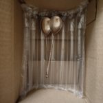 Anastatica: img 20260825 150109